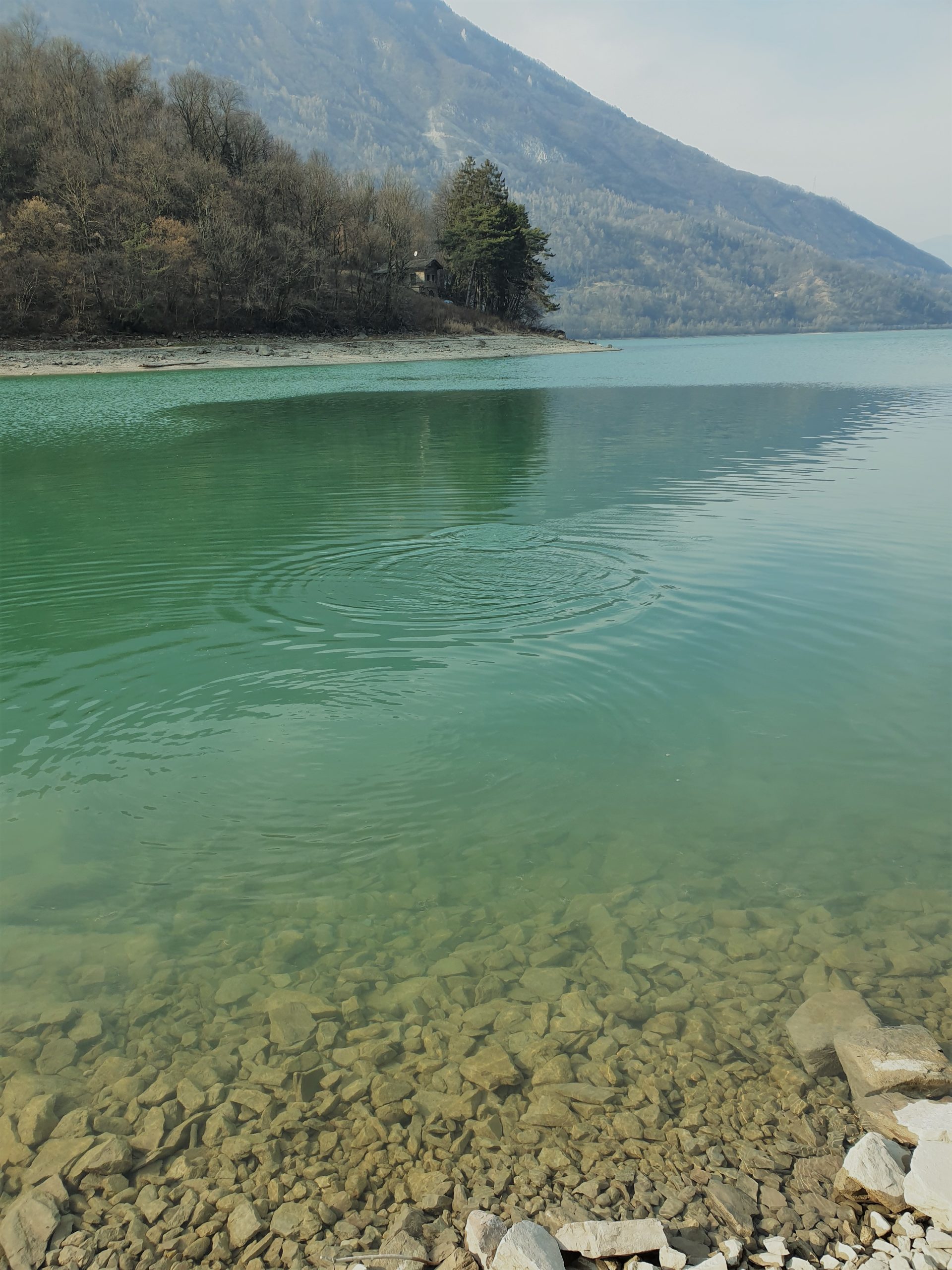 Come i cerchi nell’acqua ……